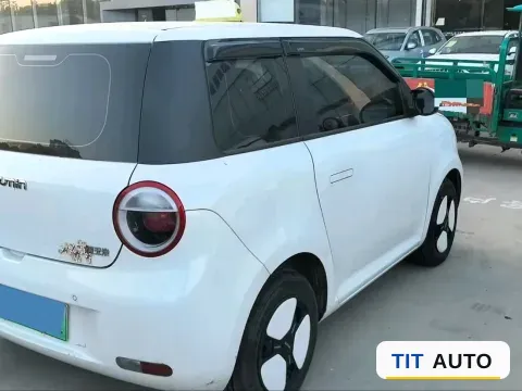 2022 Levdeo Mango 7