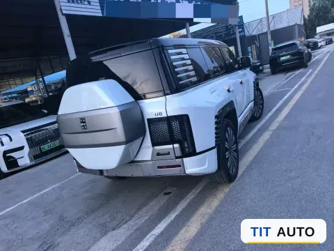 2024 YangWang U8 4