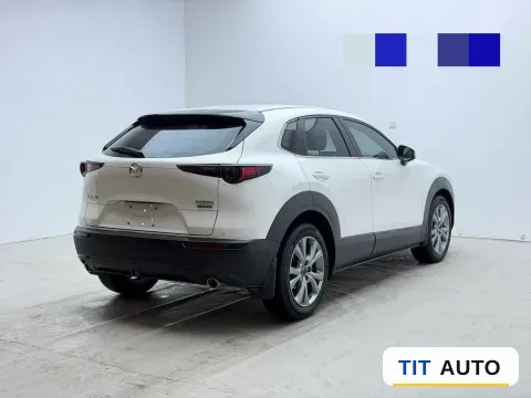 2021 Mazda CX-30 17