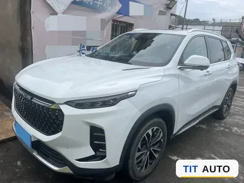2019 MAXUS D60