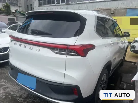 2019 MAXUS D60 4