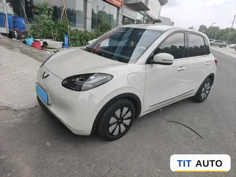 2024 WuLing BinGuo