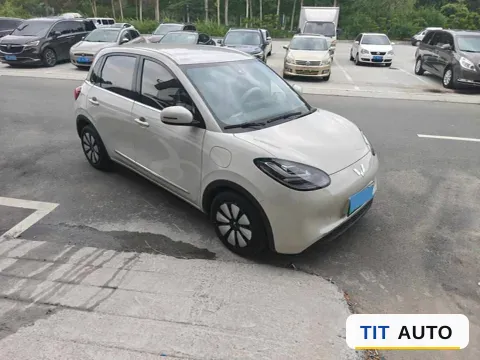 2024 WuLing BinGuo 2