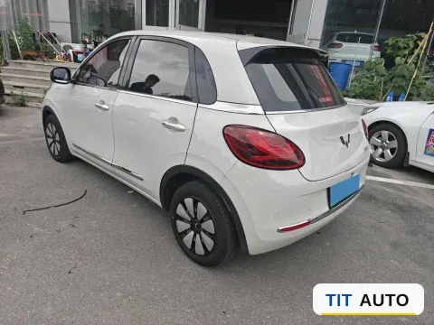 2024 WuLing BinGuo 4