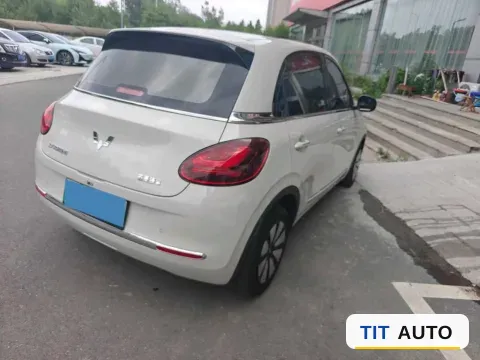 2024 WuLing BinGuo 5