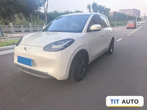 2023 WuLing BinGuo