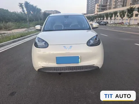 2023 WuLing BinGuo 2