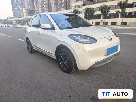 2023 WuLing BinGuo 3