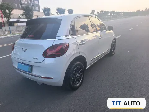 2023 WuLing BinGuo 7