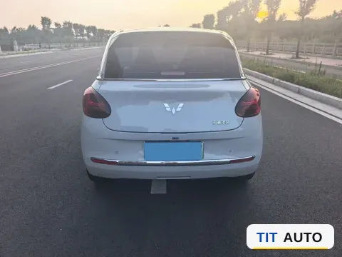 2023 WuLing BinGuo 8
