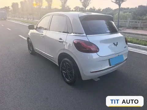 2023 WuLing BinGuo 9
