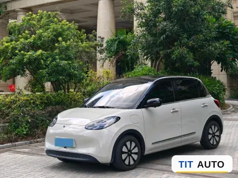 2024 WuLing BinGuo