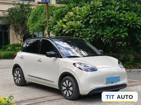 2024 WuLing BinGuo 2