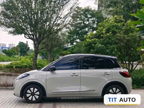 2024 WuLing BinGuo 4