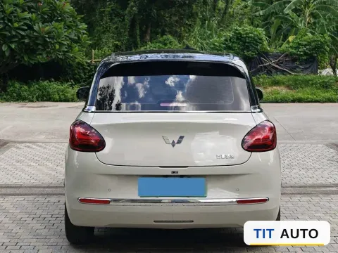 2024 WuLing BinGuo 5