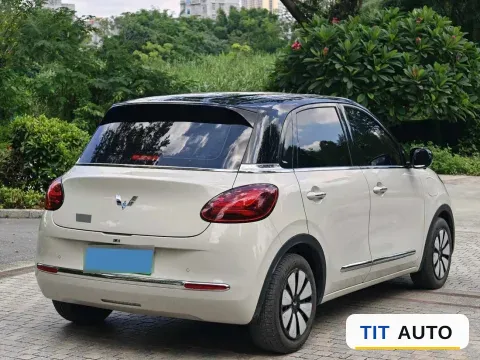 2024 WuLing BinGuo 6