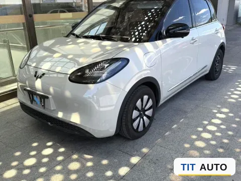 2024 WuLing BinGuo