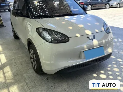 2024 WuLing BinGuo 3
