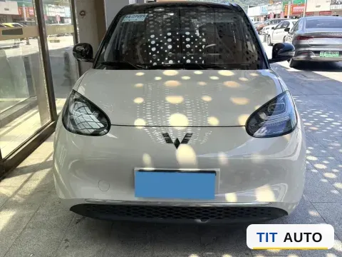 2024 WuLing BinGuo 4