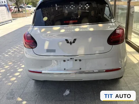 2024 WuLing BinGuo 5