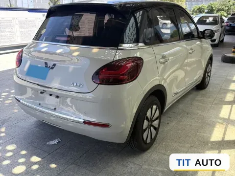 2024 WuLing BinGuo 6