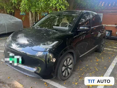 2023 WuLing BinGuo