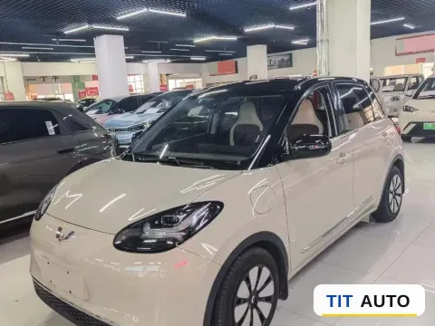 2023 WuLing BinGuo