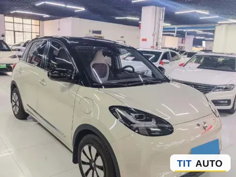 2023 WuLing BinGuo 3