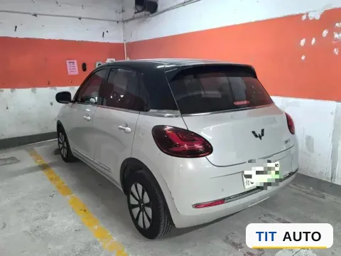 2023 WuLing BinGuo 4