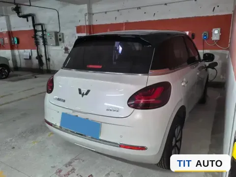 2023 WuLing BinGuo 5