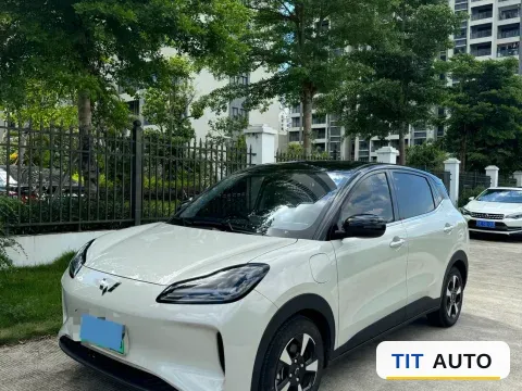 2024 WuLing BinGuoPLUS