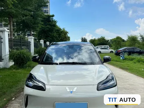 2024 WuLing BinGuoPLUS 2