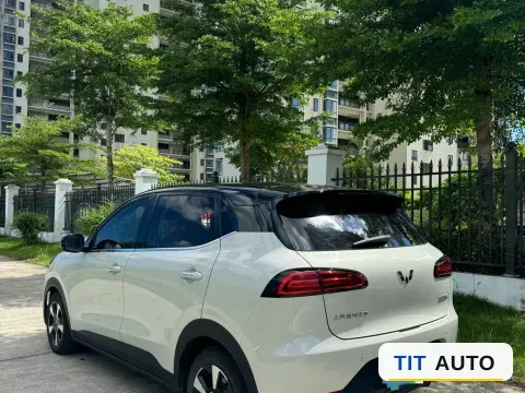 2024 WuLing BinGuoPLUS 4