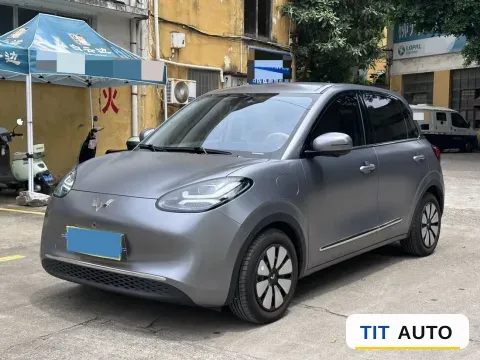 2025 WuLing BinGuo