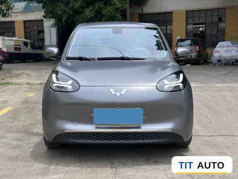 2025 WuLing BinGuo 2