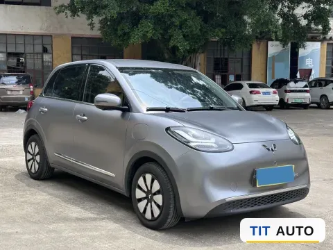 2025 WuLing BinGuo 3