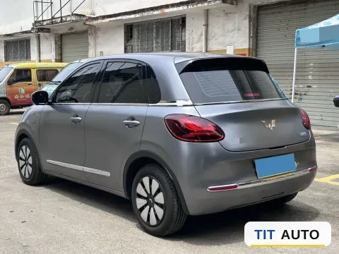 2025 WuLing BinGuo 4