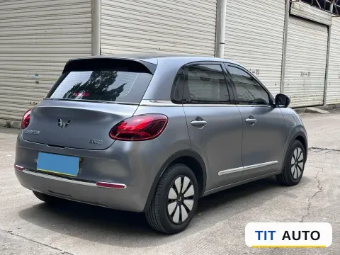 2025 WuLing BinGuo 6