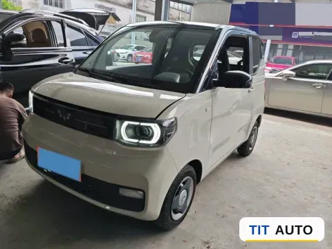 2021 WuLing HongGuang MINI EV