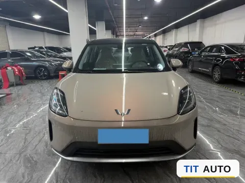 2025 WuLing BinGuo S 2
