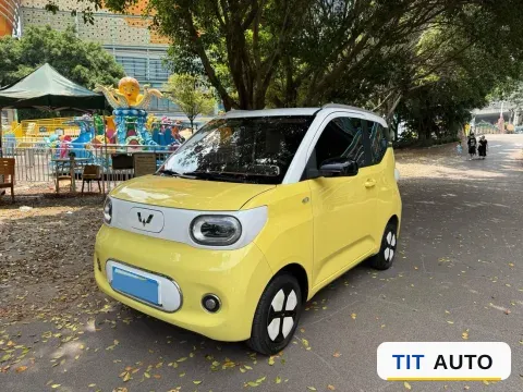 2024 WuLing HongGuang MINI EV