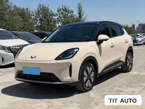 2025 WuLing BinGuo S