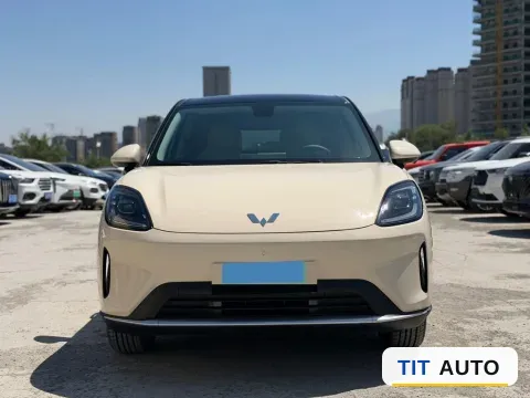 2025 WuLing BinGuo S 2