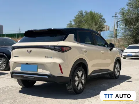 2025 WuLing BinGuo S 9