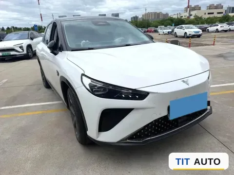 2024 Neta L 2