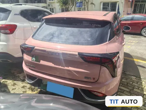 2022 Neta V 4