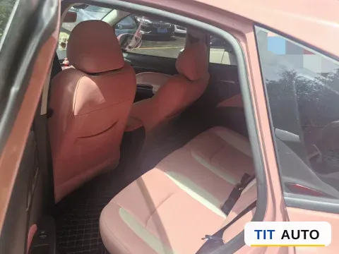 2022 Neta V 6