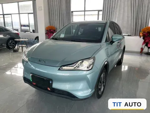 2021 Neta V