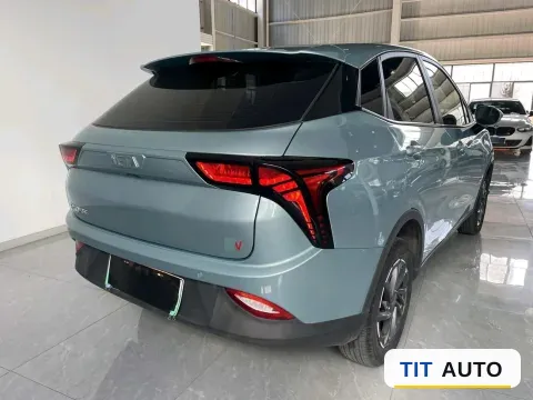 2021 Neta V 6