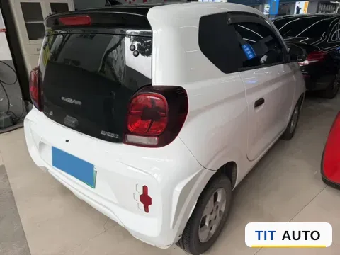 2021 Levdeo Mango 4
